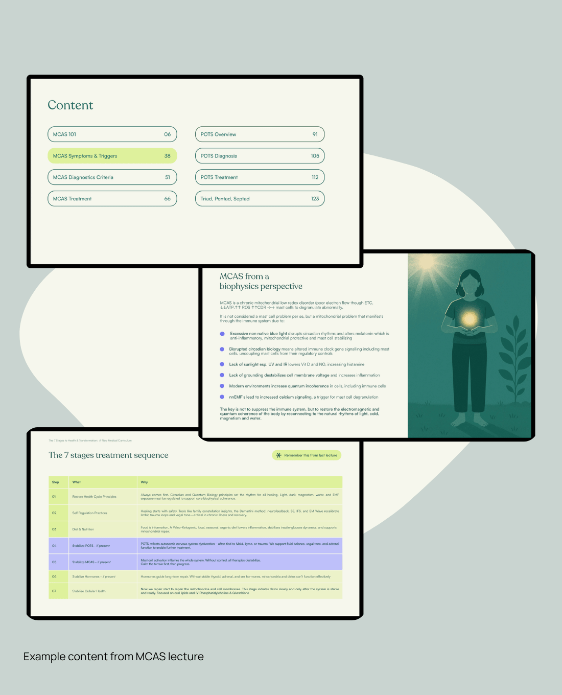 Example content from MCAS lecture